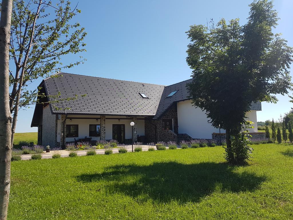 Villa Stone Раковица Экстерьер фото