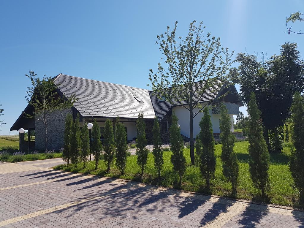 Villa Stone Раковица Экстерьер фото
