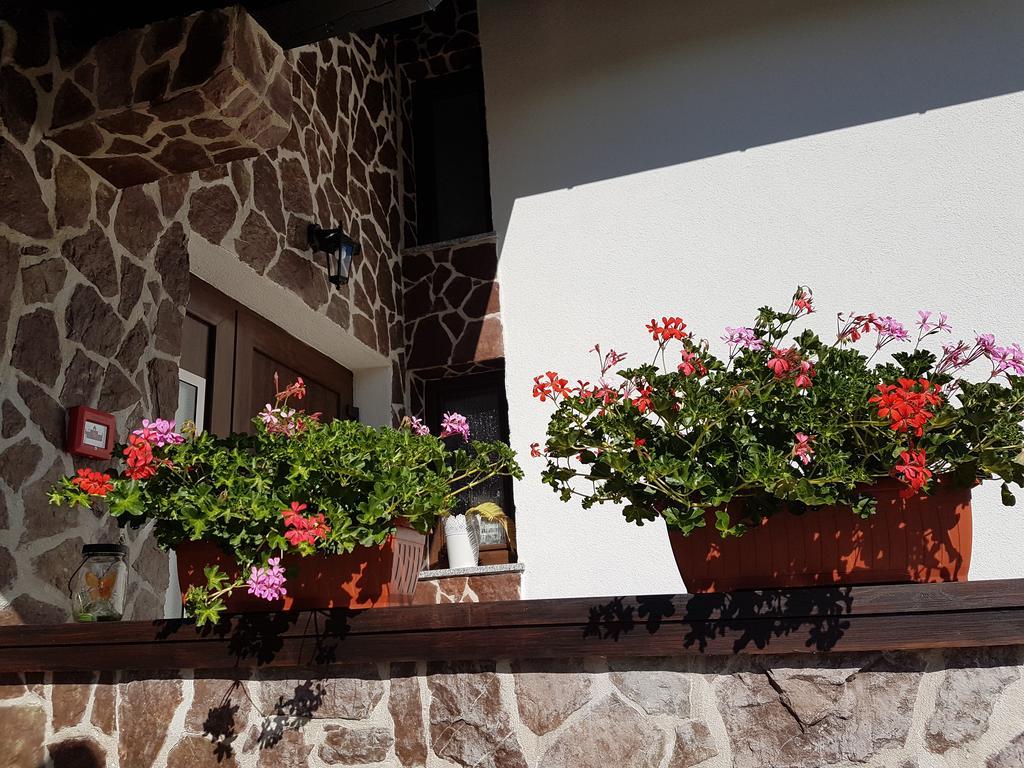 Villa Stone Раковица Экстерьер фото