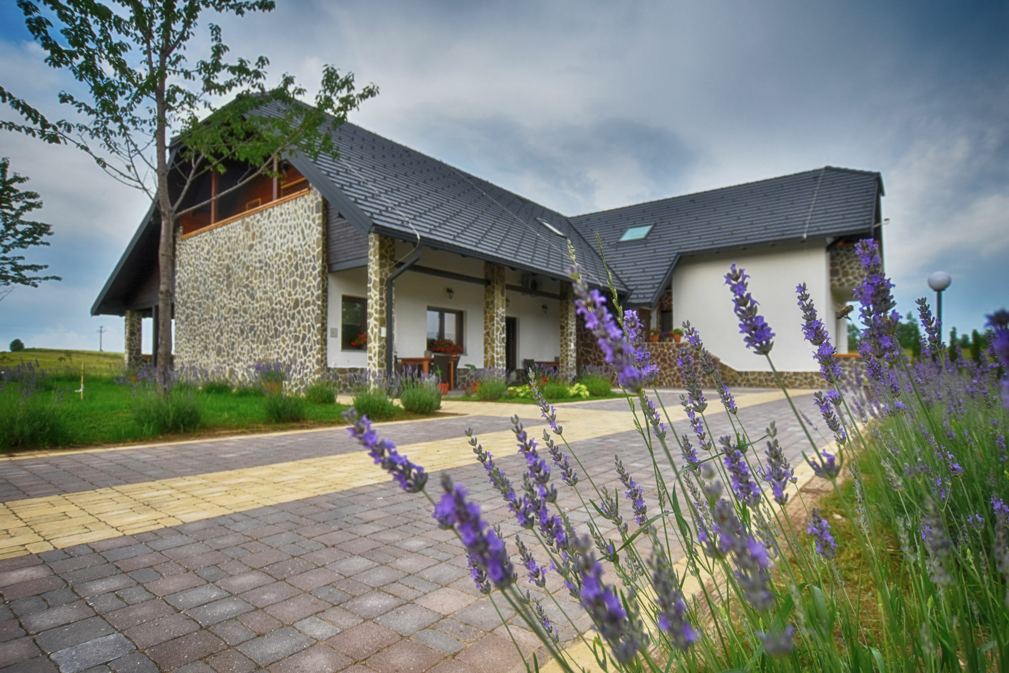 Villa Stone Раковица Экстерьер фото